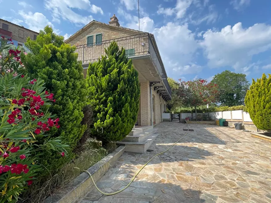 Immagine 50 di Rustico / casale in vendita  in Contrada Dietro La Chiesa 1 a Monsampolo Del Tronto