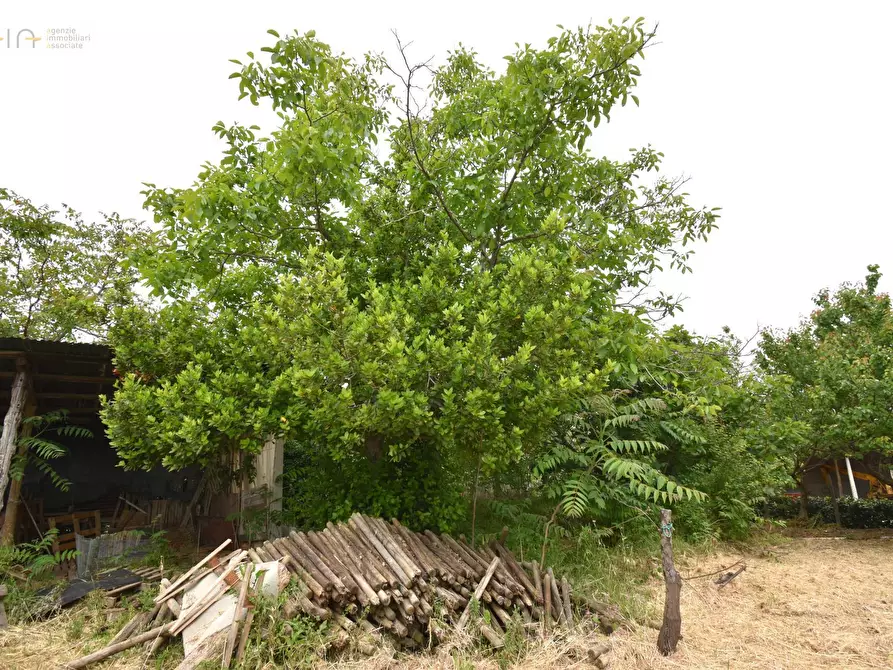 Immagine 6 di Rustico / casale in vendita  in Contrada Gozzana 10 a Ripatransone