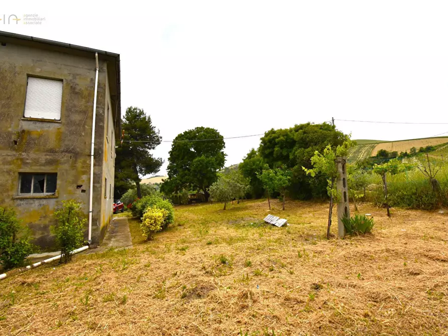 Immagine 10 di Rustico / casale in vendita  in Contrada Gozzana 10 a Ripatransone