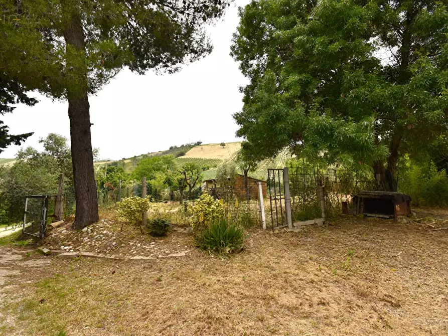Immagine 11 di Rustico / casale in vendita  in Contrada Gozzana 10 a Ripatransone