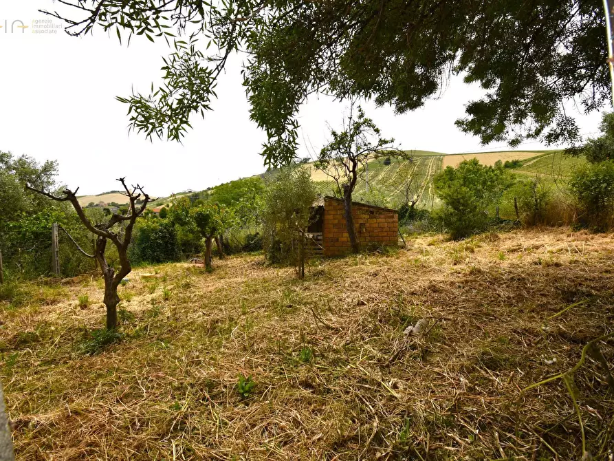 Immagine 12 di Rustico / casale in vendita  in Contrada Gozzana 10 a Ripatransone