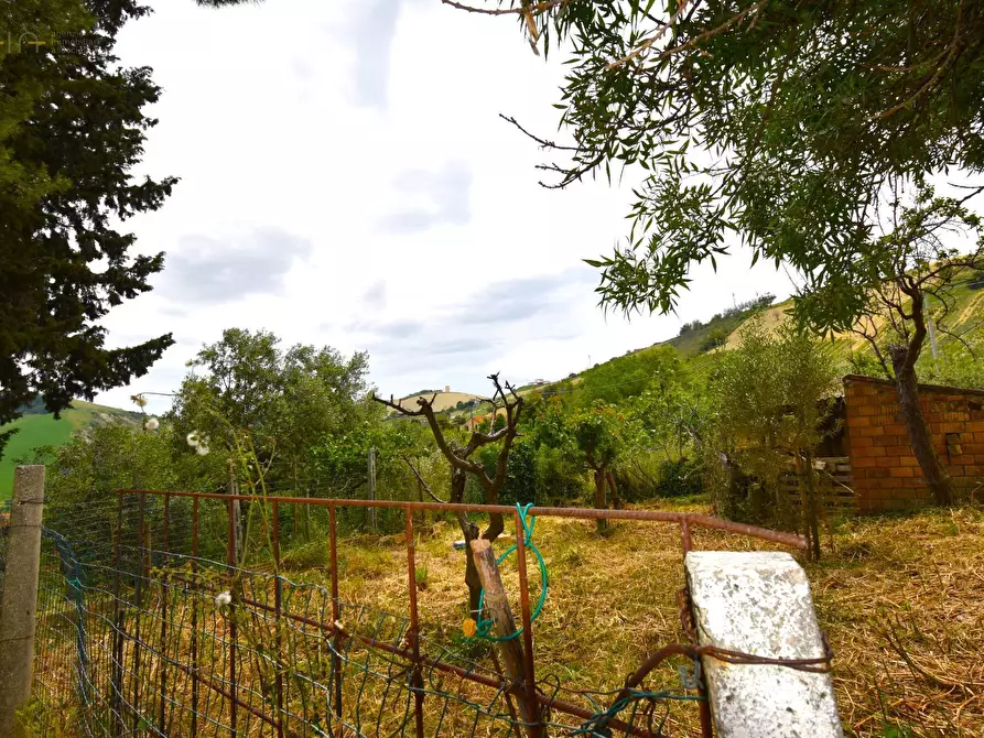 Immagine 13 di Rustico / casale in vendita  in Contrada Gozzana 10 a Ripatransone