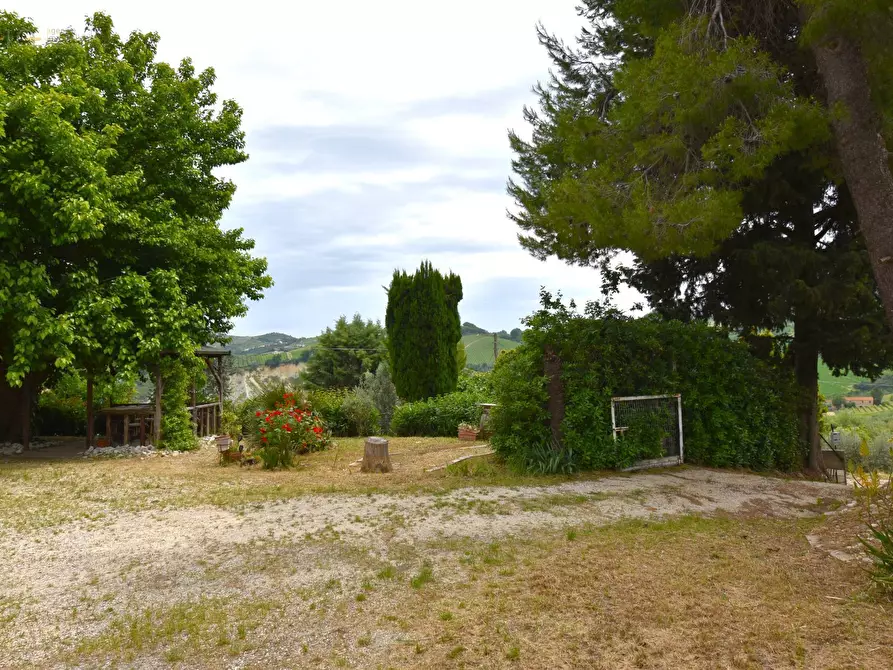 Immagine 17 di Rustico / casale in vendita  in Contrada Gozzana 10 a Ripatransone