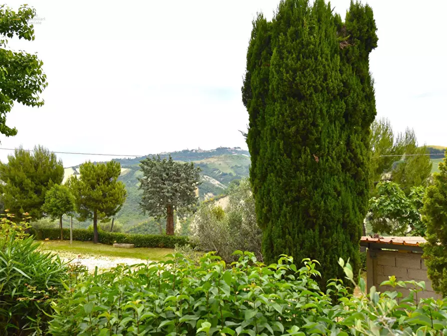 Immagine 20 di Rustico / casale in vendita  in Contrada Gozzana 10 a Ripatransone