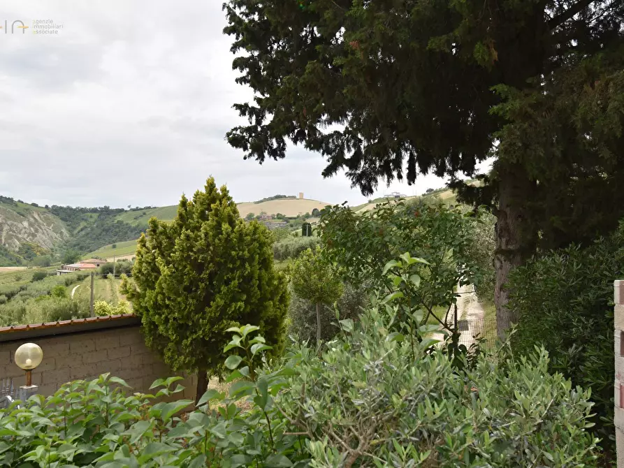 Immagine 22 di Rustico / casale in vendita  in Contrada Gozzana 10 a Ripatransone