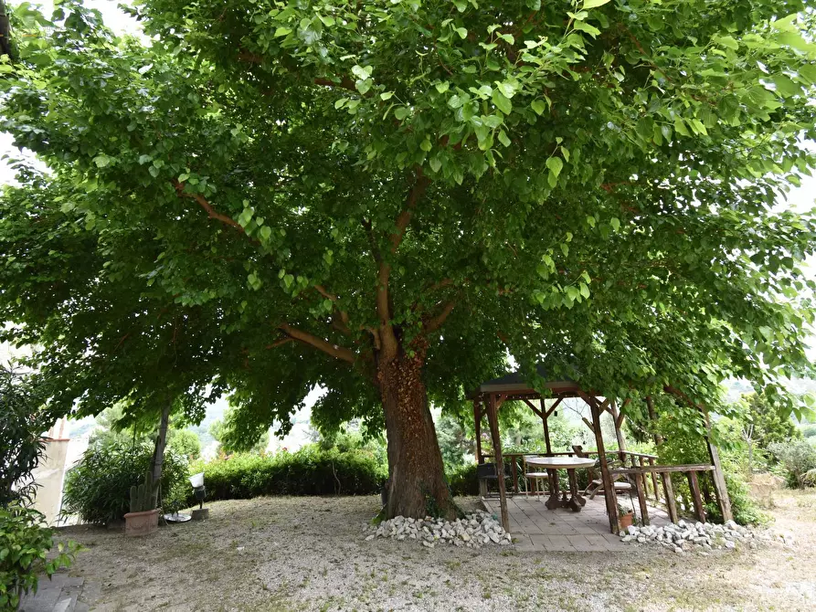 Immagine 26 di Rustico / casale in vendita  in Contrada Gozzana 10 a Ripatransone