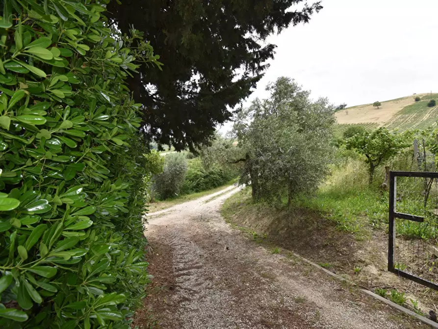 Immagine 28 di Rustico / casale in vendita  in Contrada Gozzana 10 a Ripatransone