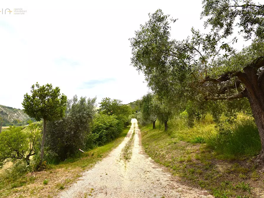 Immagine 29 di Rustico / casale in vendita  in Contrada Gozzana 10 a Ripatransone