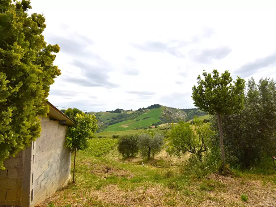 Immagine 30 di Rustico / casale in vendita  in Contrada Gozzana 10 a Ripatransone