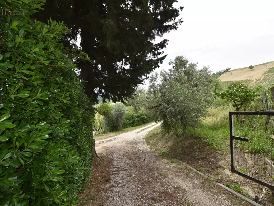 Immagine 45 di Rustico / casale in vendita  in Contrada Gozzana 10 a Ripatransone