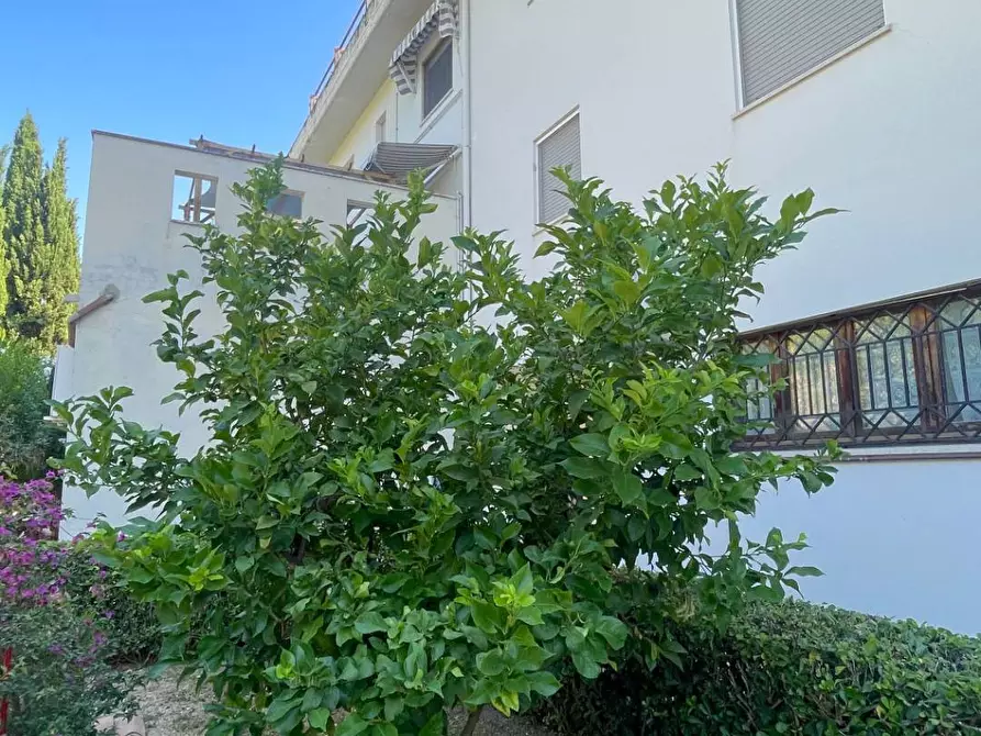 Immagine 55 di Appartamento in vendita  in Piazza Kolbe 6 a San Benedetto Del Tronto