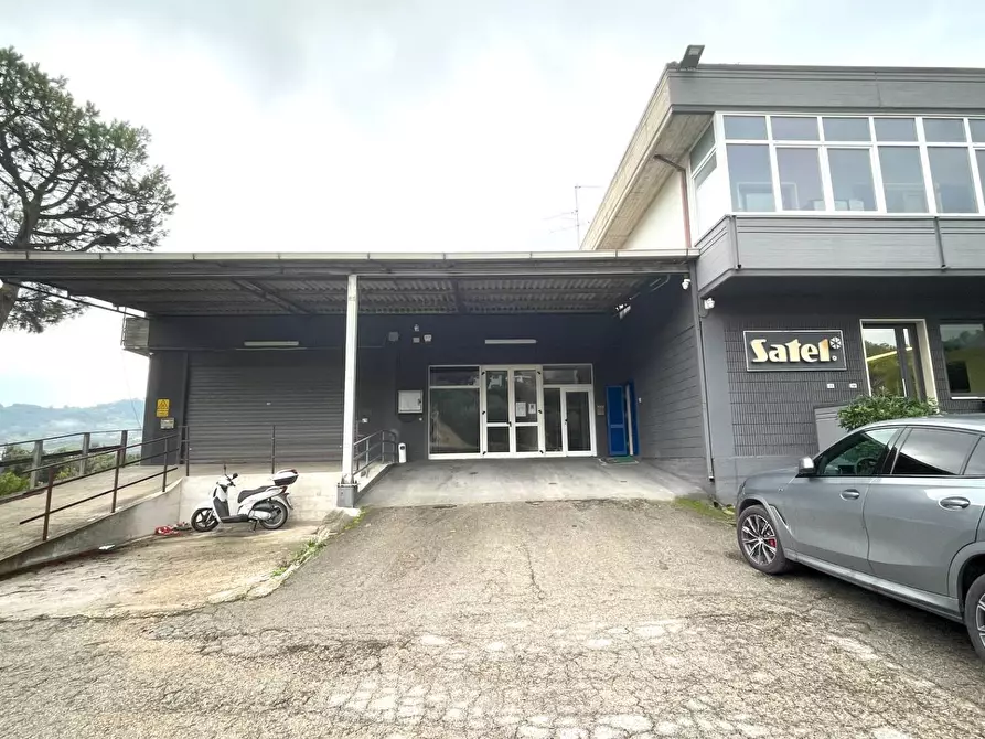 Immagine 6 di Laboratorio in vendita  in Contrada Tesino 40 a Ripatransone