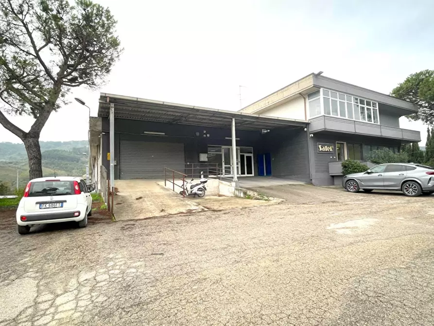 Immagine 3 di Laboratorio in vendita  in Contrada Tesino 40 a Ripatransone