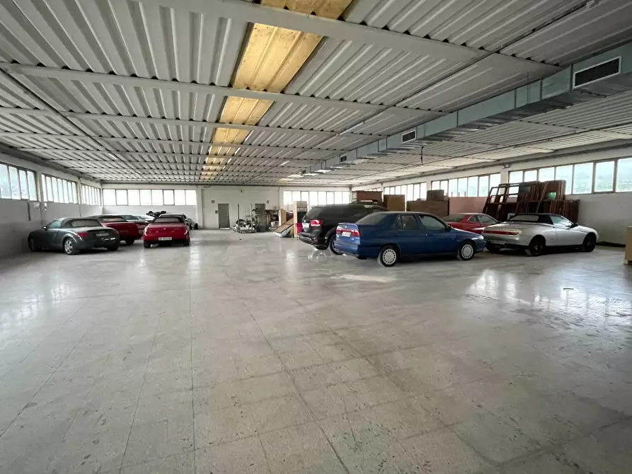 Immagine 12 di Laboratorio in vendita  in Contrada Tesino 40 a Ripatransone