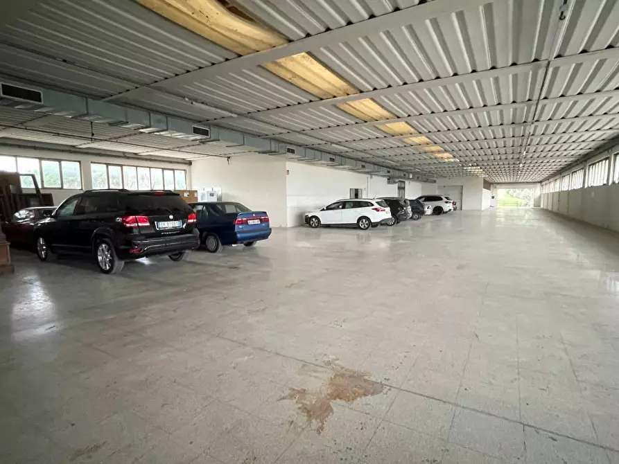 Immagine 14 di Laboratorio in vendita  in Contrada Tesino 40 a Ripatransone