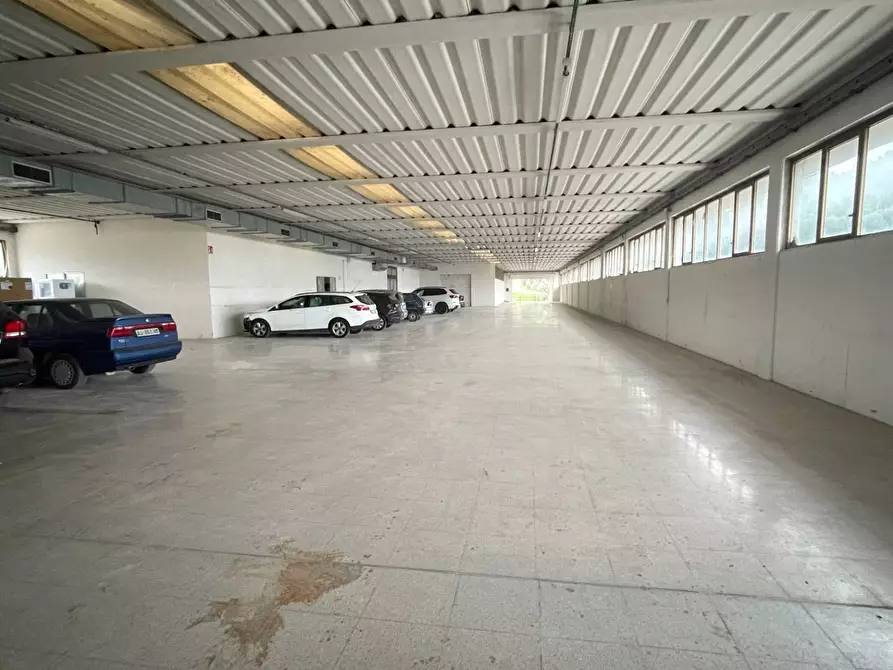 Immagine 15 di Laboratorio in vendita  in Contrada Tesino 40 a Ripatransone