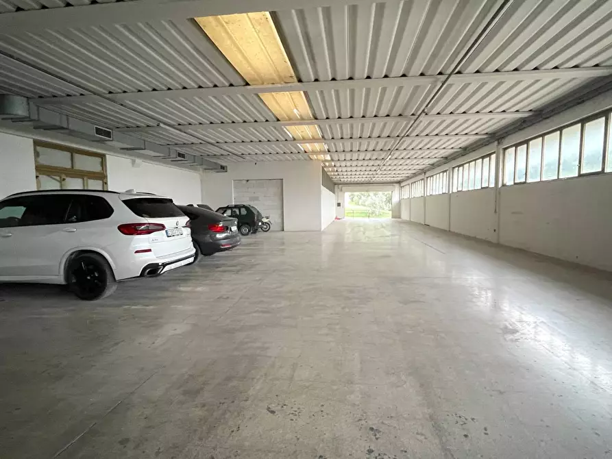 Immagine 16 di Laboratorio in vendita  in Contrada Tesino 40 a Ripatransone