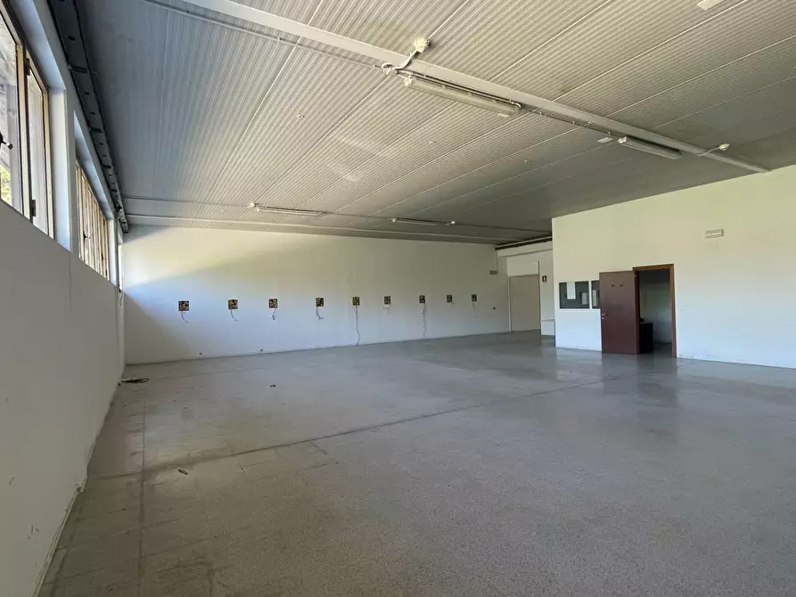 Immagine 31 di Laboratorio in vendita  in Contrada Tesino 40 a Ripatransone