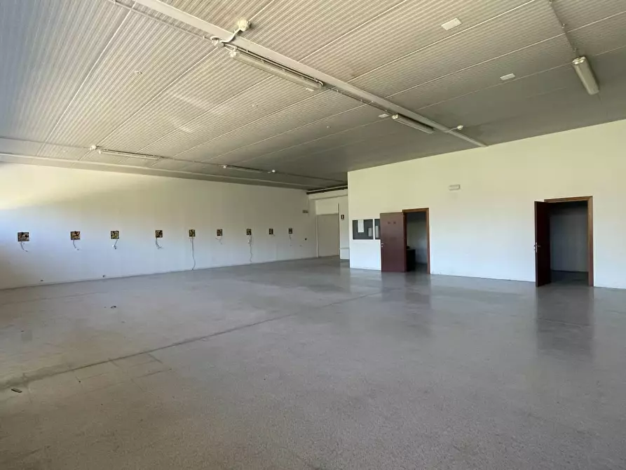 Immagine 32 di Laboratorio in vendita  in Contrada Tesino 40 a Ripatransone