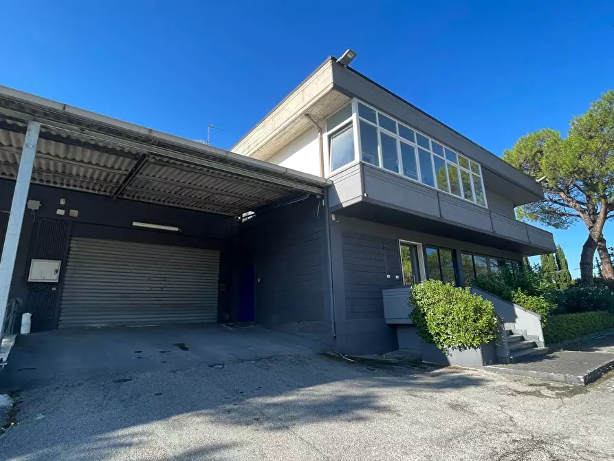 Immagine 34 di Laboratorio in vendita  in Contrada Tesino 40 a Ripatransone