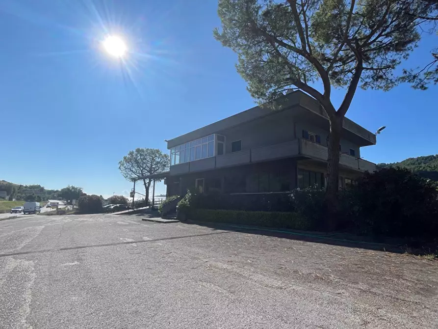 Immagine 35 di Laboratorio in vendita  in Contrada Tesino 40 a Ripatransone