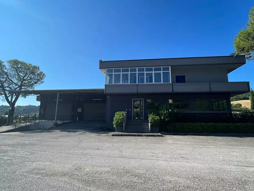 Immagine 36 di Laboratorio in vendita  in Contrada Tesino 40 a Ripatransone