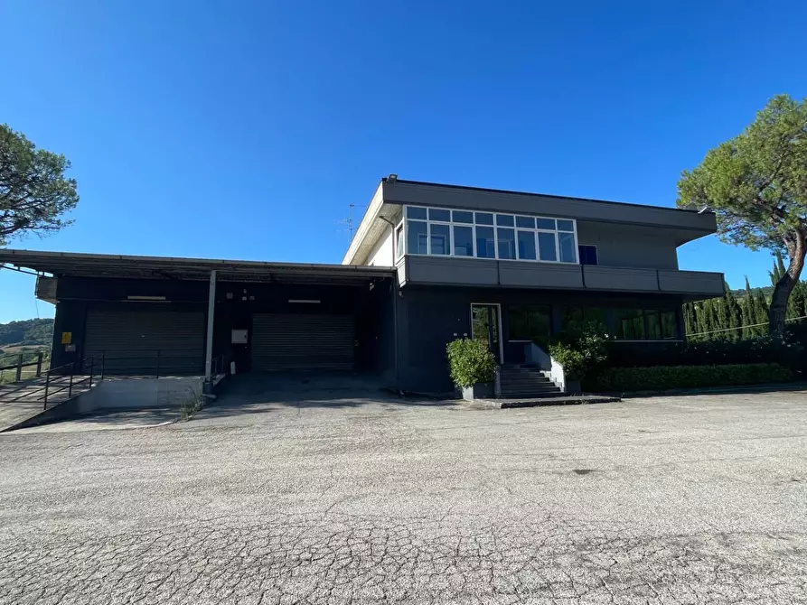 Immagine 37 di Laboratorio in vendita  in Contrada Tesino 40 a Ripatransone