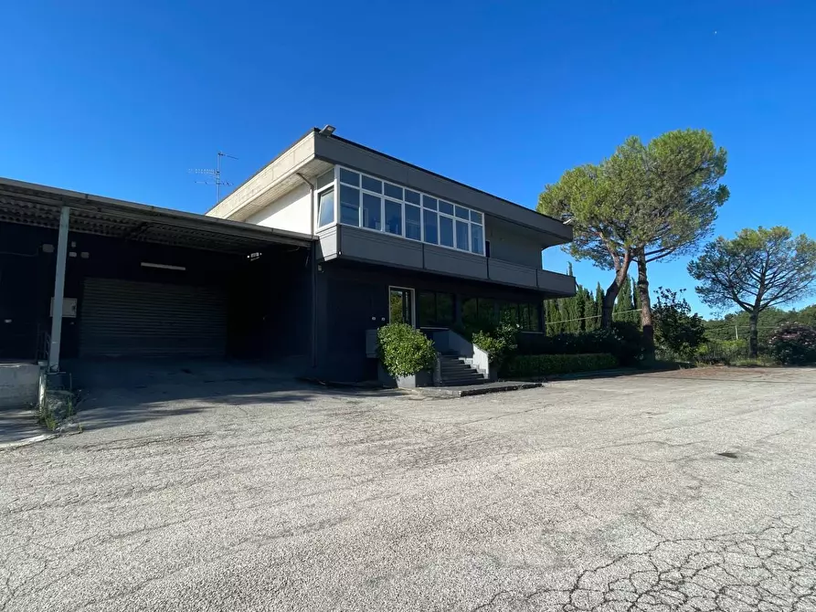 Immagine 38 di Laboratorio in vendita  in Contrada Tesino 40 a Ripatransone