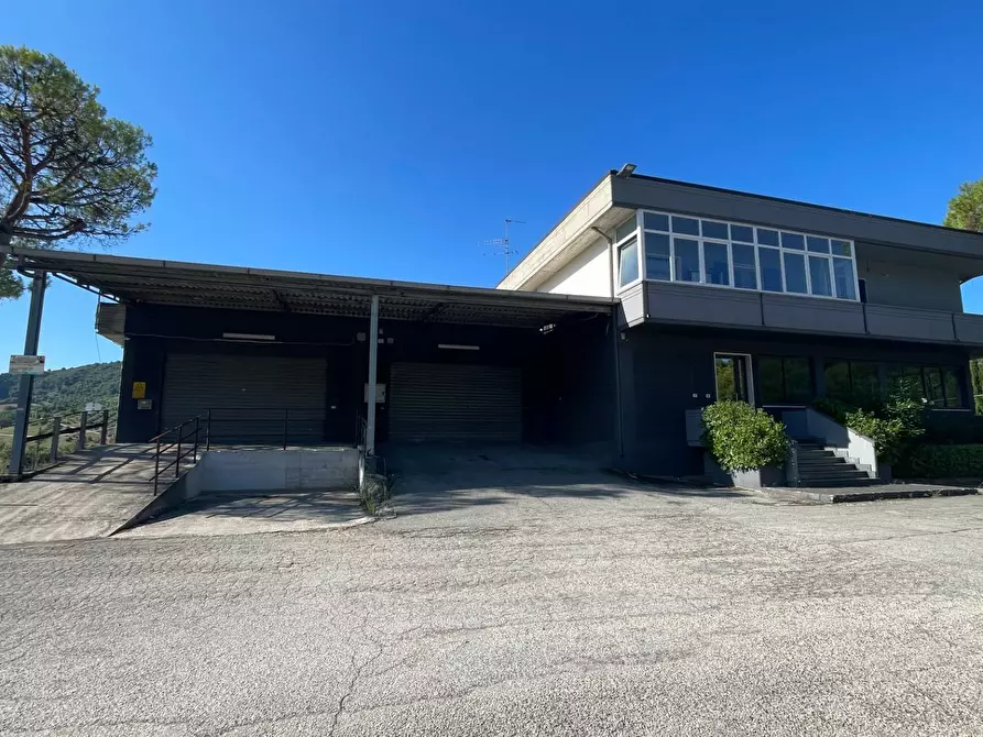 Immagine 39 di Laboratorio in vendita  in Contrada Tesino 40 a Ripatransone