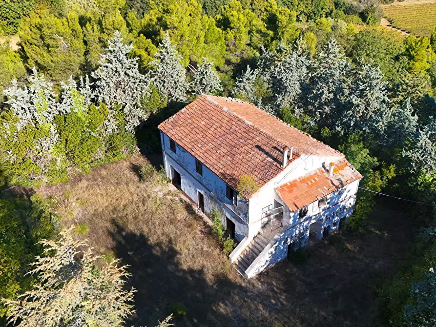 Immagine 12 di Rustico / casale in vendita  in Contrada Petrella / Sant'Egidio snc a Ripatransone