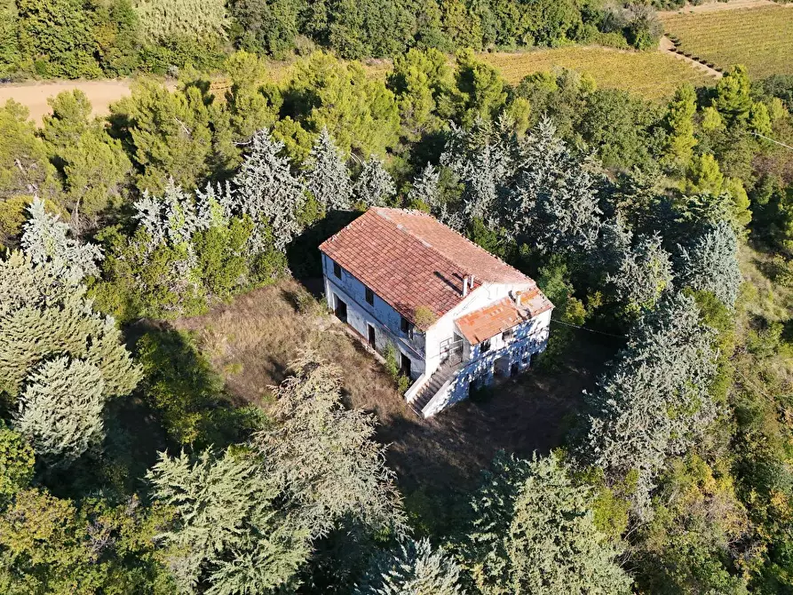 Immagine 25 di Rustico / casale in vendita  in Contrada Petrella / Sant'Egidio snc a Ripatransone