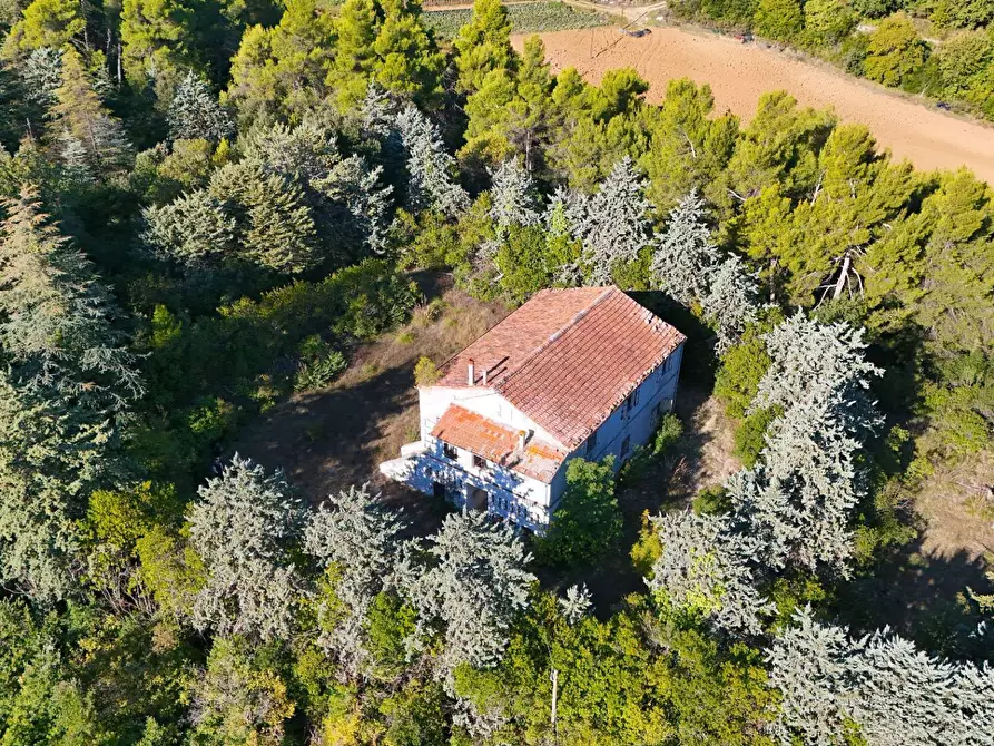 Immagine 26 di Rustico / casale in vendita  in Contrada Petrella / Sant'Egidio snc a Ripatransone