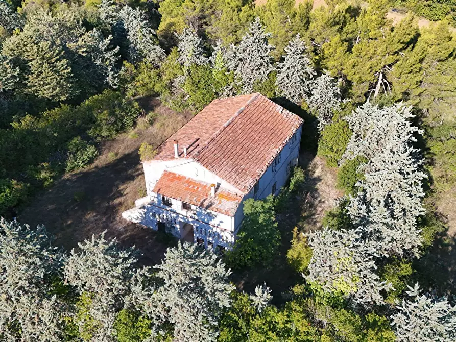 Immagine 27 di Rustico / casale in vendita  in Contrada Petrella / Sant'Egidio snc a Ripatransone