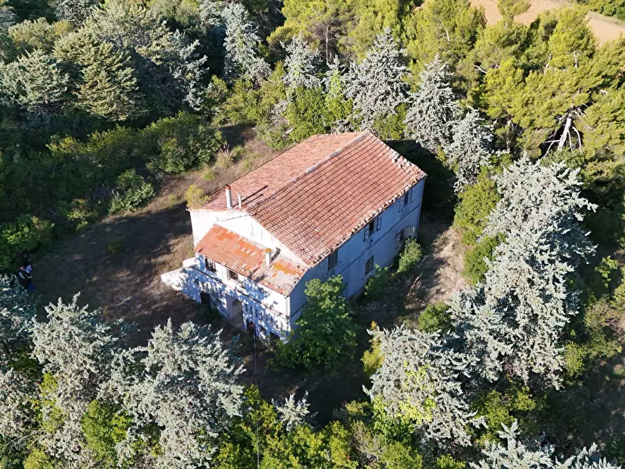 Immagine 28 di Rustico / casale in vendita  in Contrada Petrella / Sant'Egidio snc a Ripatransone