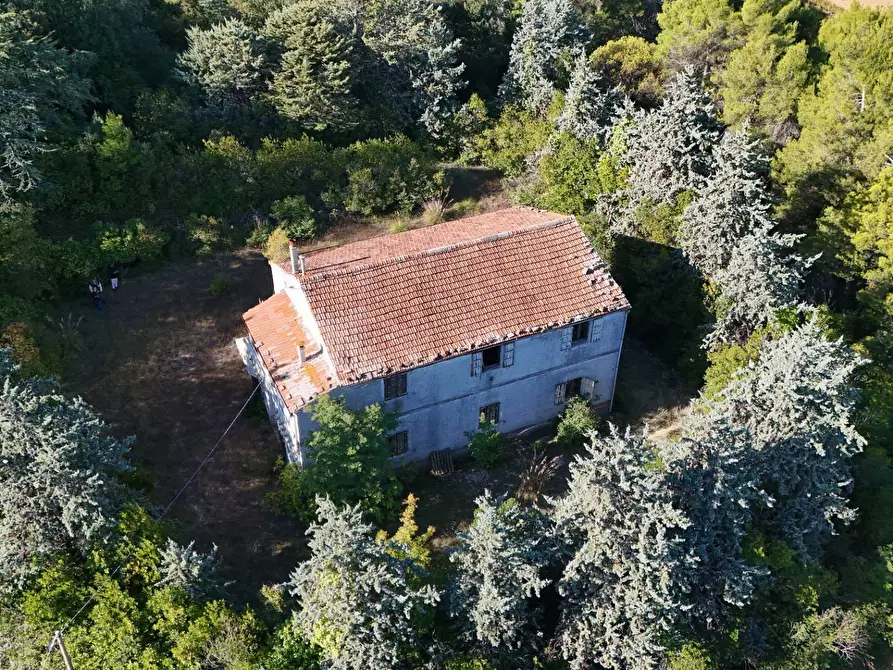 Immagine 29 di Rustico / casale in vendita  in Contrada Petrella / Sant'Egidio snc a Ripatransone