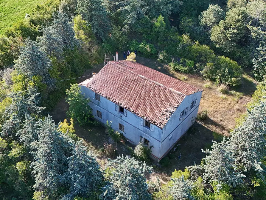 Immagine 30 di Rustico / casale in vendita  in Contrada Petrella / Sant'Egidio snc a Ripatransone