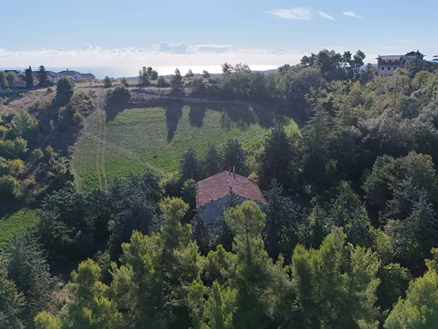 Immagine 31 di Rustico / casale in vendita  in Contrada Petrella / Sant'Egidio snc a Ripatransone