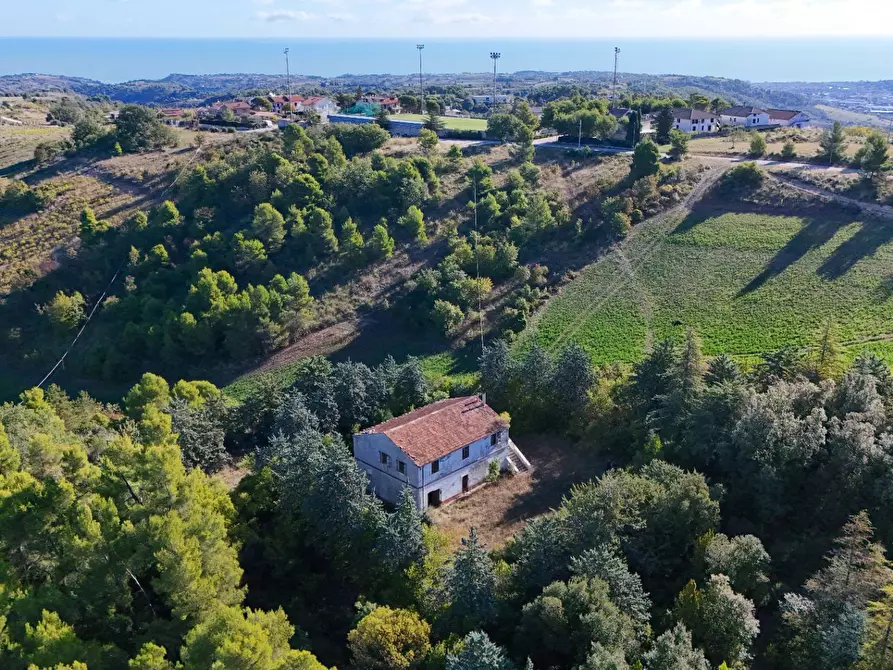Immagine 7 di Rustico / casale in vendita  in Contrada Petrella / Sant'Egidio snc a Ripatransone