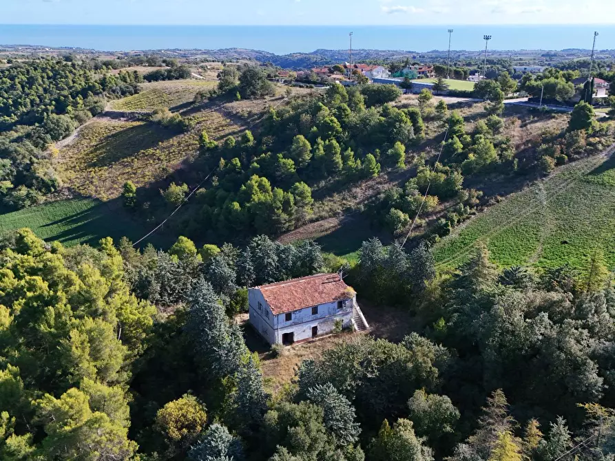 Immagine 35 di Rustico / casale in vendita  in Contrada Petrella / Sant'Egidio snc a Ripatransone
