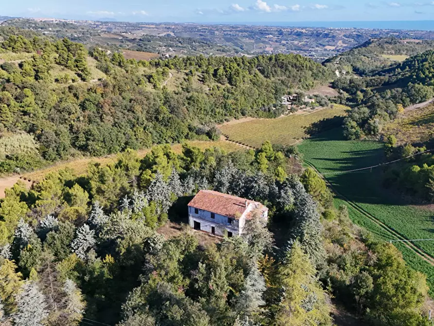 Immagine 37 di Rustico / casale in vendita  in Contrada Petrella / Sant'Egidio snc a Ripatransone