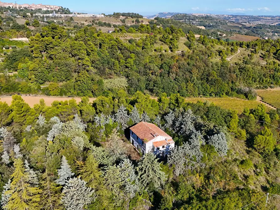 Immagine 21 di Rustico / casale in vendita  in Contrada Petrella / Sant'Egidio snc a Ripatransone