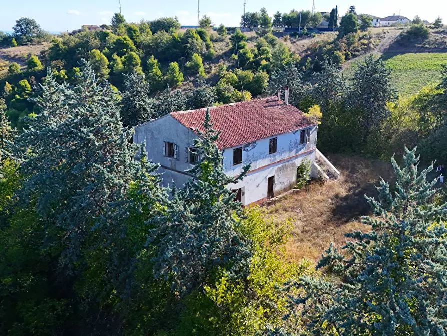 Immagine 39 di Rustico / casale in vendita  in Contrada Petrella / Sant'Egidio snc a Ripatransone
