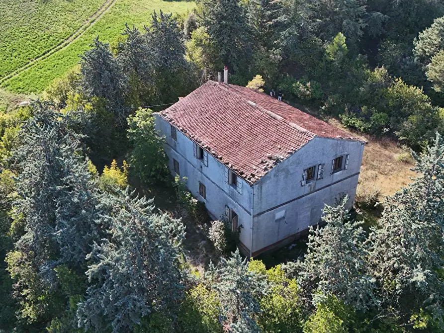 Immagine 40 di Rustico / casale in vendita  in Contrada Petrella / Sant'Egidio snc a Ripatransone
