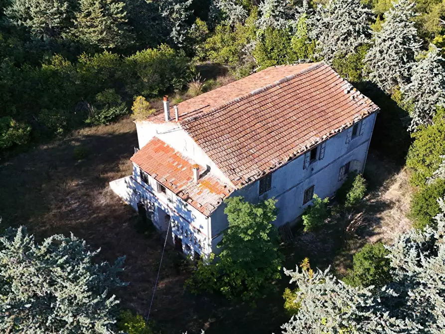 Immagine 10 di Rustico / casale in vendita  in Contrada Petrella / Sant'Egidio snc a Ripatransone