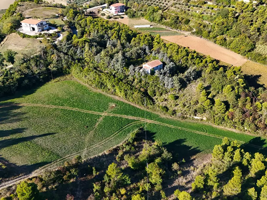 Immagine 41 di Rustico / casale in vendita  in Contrada Petrella / Sant'Egidio snc a Ripatransone
