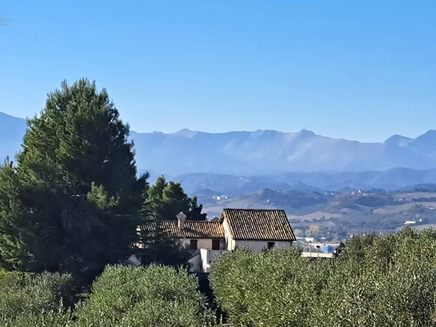 Immagine 9 di Rustico / casale in vendita  in Contrada Tronto snc a Ancarano