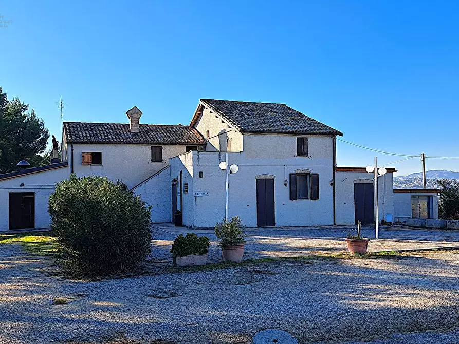 Immagine 15 di Rustico / casale in vendita  in Contrada Tronto snc a Ancarano