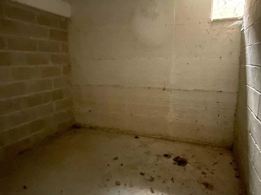 Immagine 22 di Ufficio in vendita  in Contrada San Giovanni snc a Ancarano