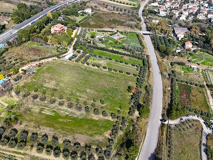 Immagine 2 di Terreno agricolo in vendita  in Contrada Monte Aquilino snc a San Benedetto Del Tronto