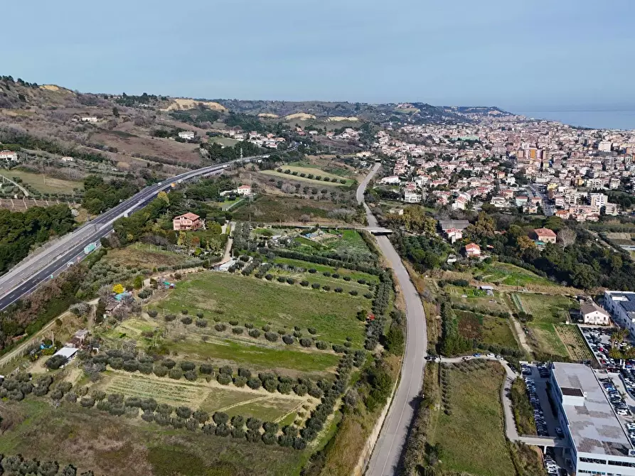 Immagine 3 di Terreno agricolo in vendita  in Contrada Monte Aquilino snc a San Benedetto Del Tronto